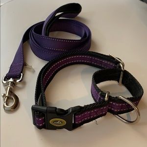 6’ Leash and Large Dog Collar